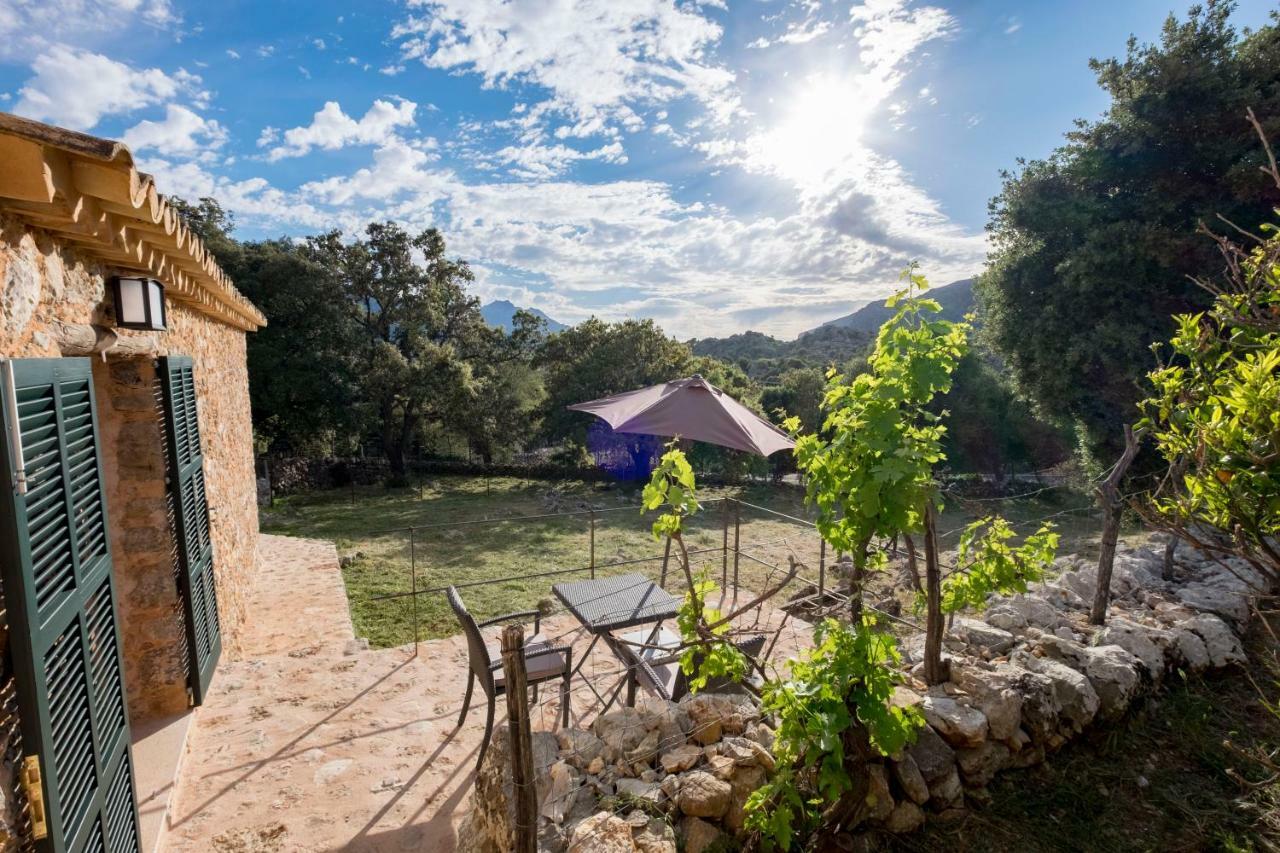 Agroturismo Son Alzines Льюк Экстерьер фото