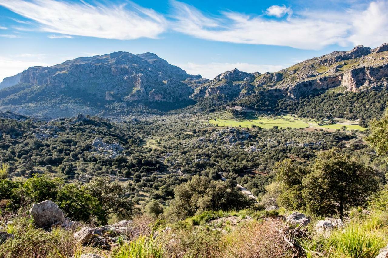 Agroturismo Son Alzines Льюк Экстерьер фото