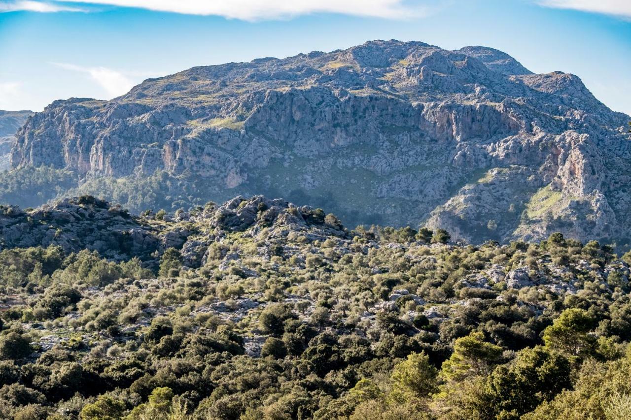 Agroturismo Son Alzines Льюк Экстерьер фото