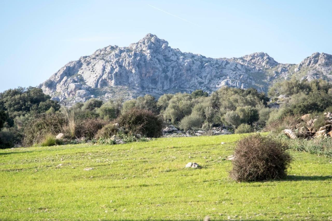 Agroturismo Son Alzines Льюк Экстерьер фото